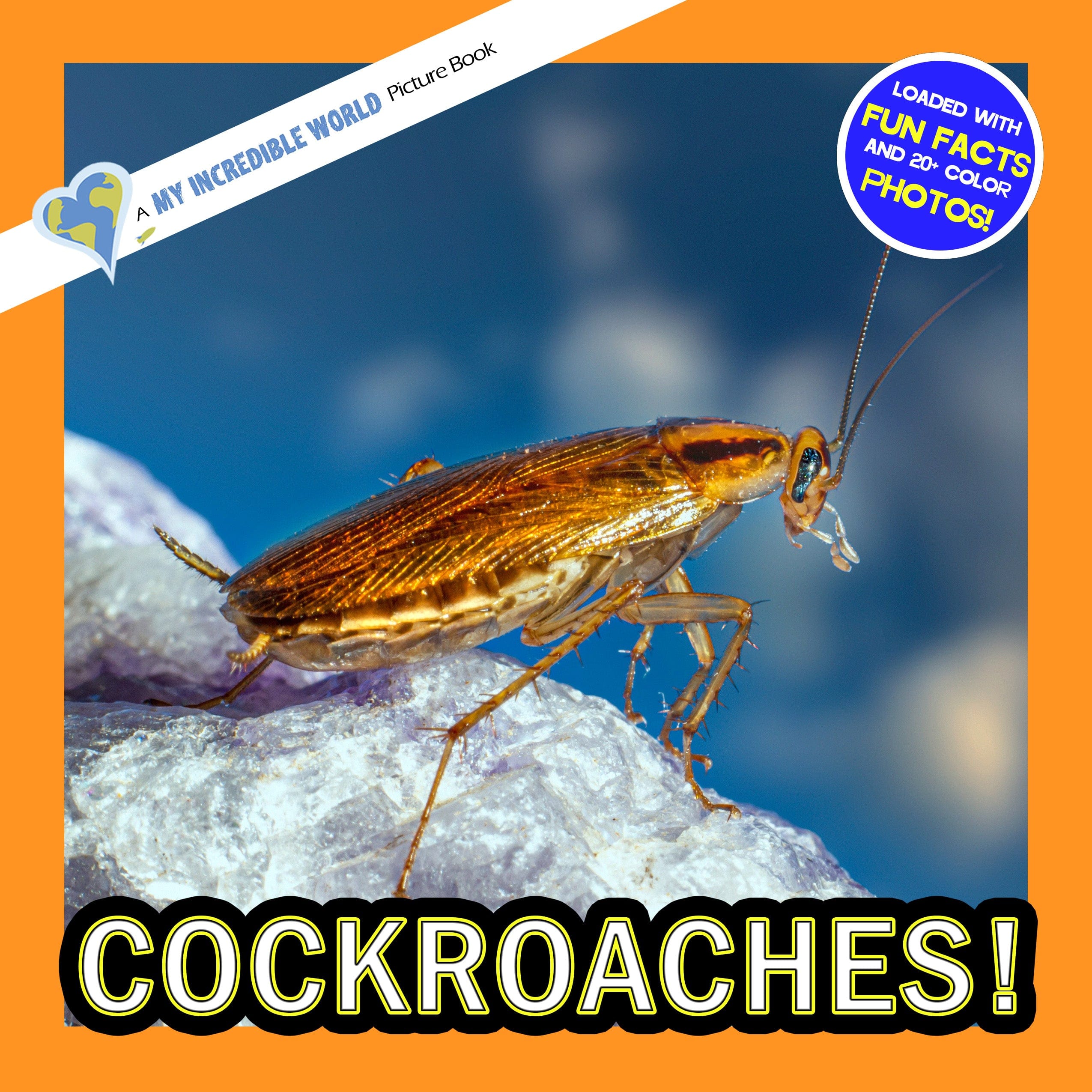 Cockroaches! A My Incredible World Picture Book for Children